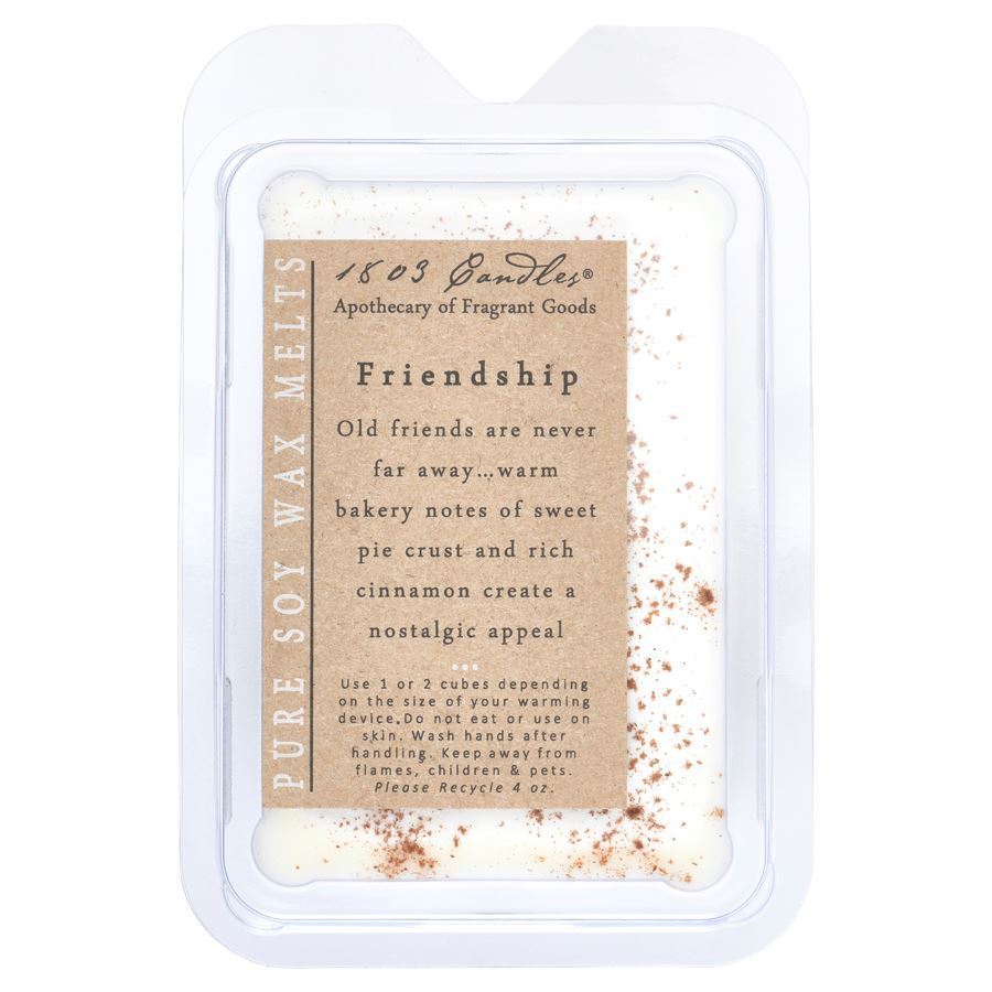 Friendship | Melter