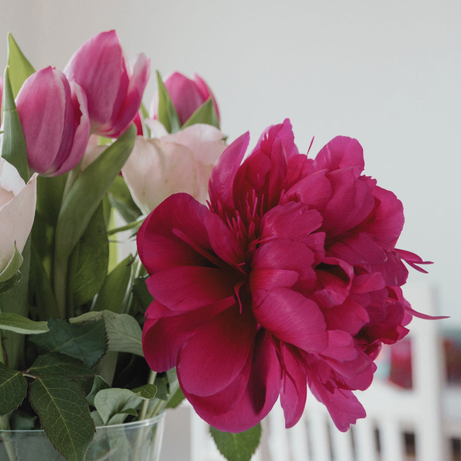 Tulip Fields + Peony Soy Candle | 14oz