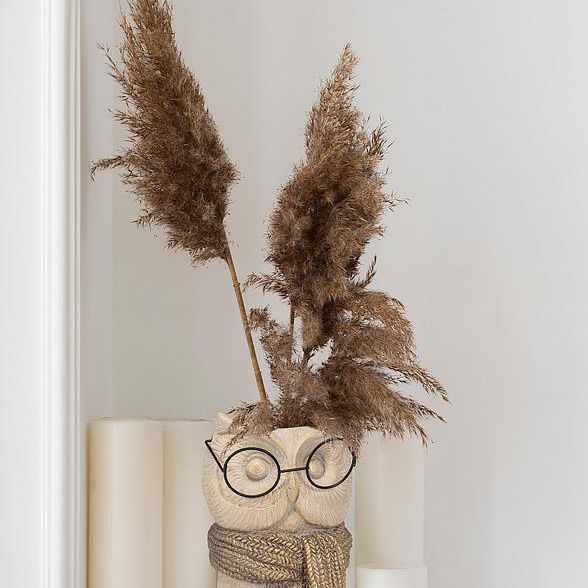 Owl Vase w/Scarf & Glasses - 7.5"H