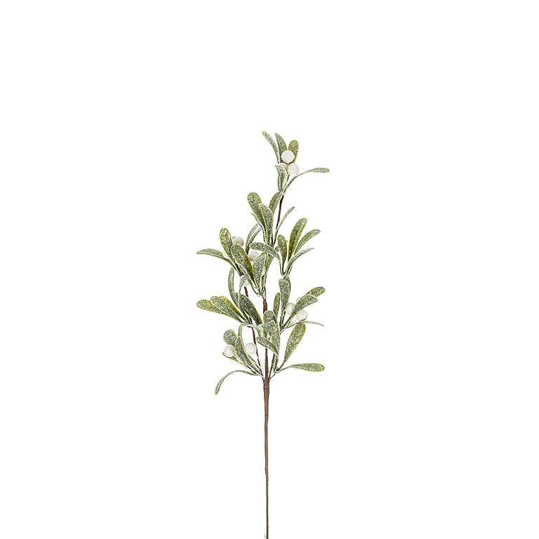 Mistletoe Branch - 18"L