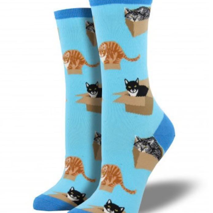 Ladies Cat in A Box - Azure