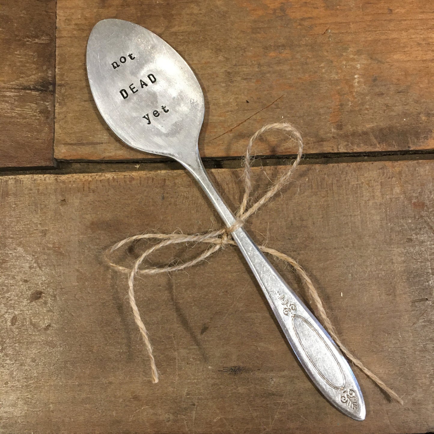 Spoon Plant Decoration