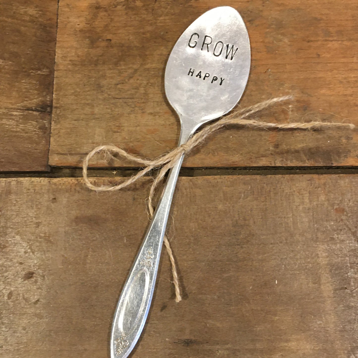 Spoon Plant Decoration