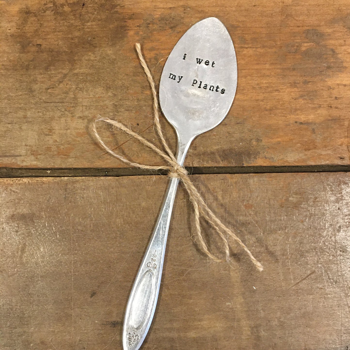 Spoon Plant Decoration