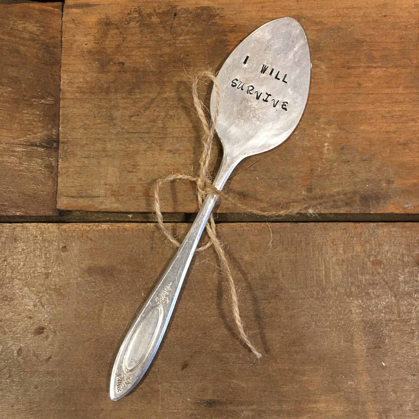 Spoon Plant Decoration