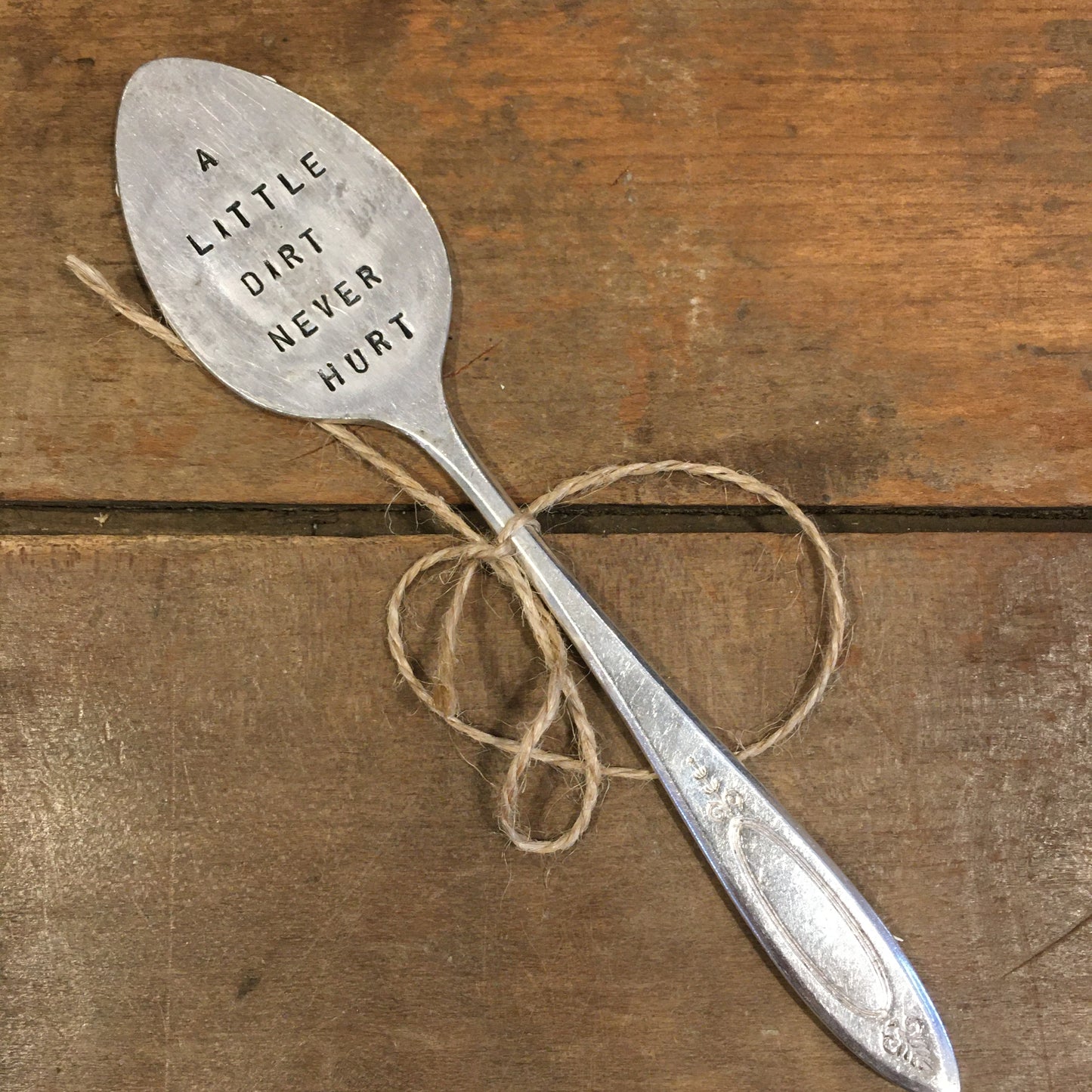 Spoon Plant Decoration