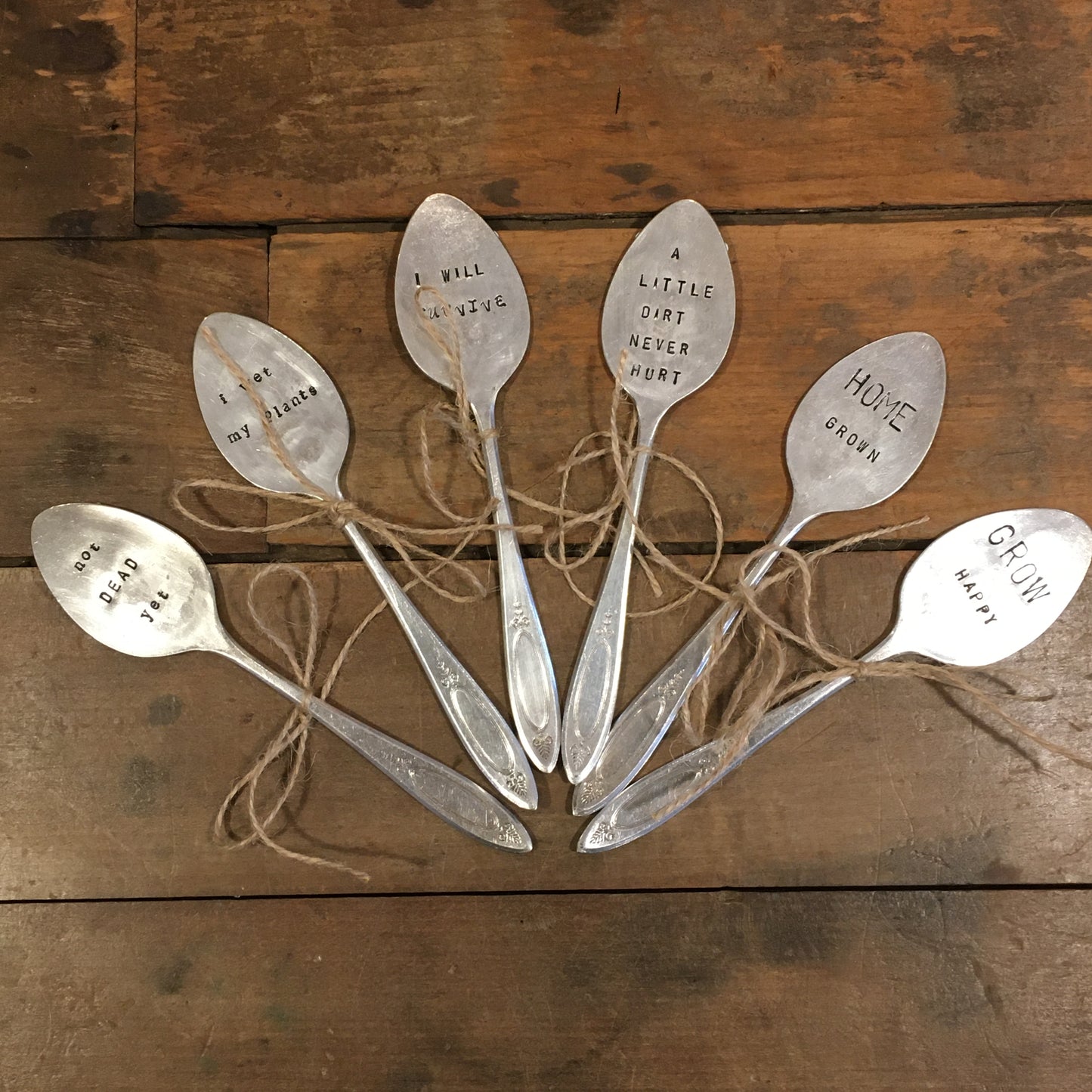 Spoon Plant Decoration