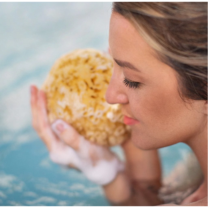 Sea Sponge