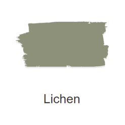 Lichen