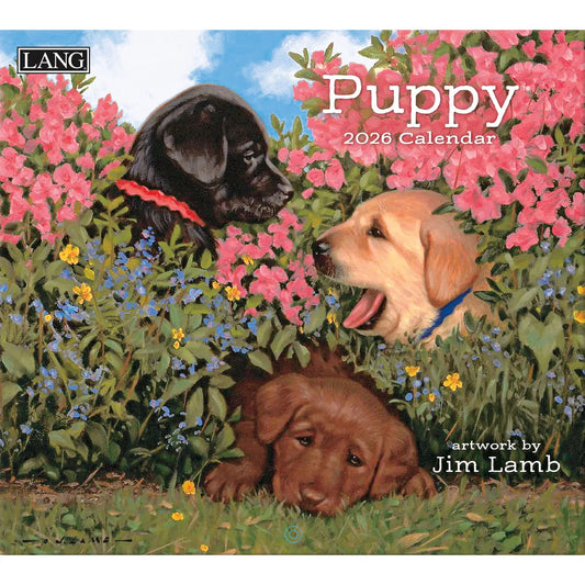Lang - Puppy