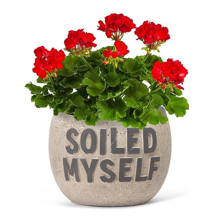 Planter - Soiled Myself/Large