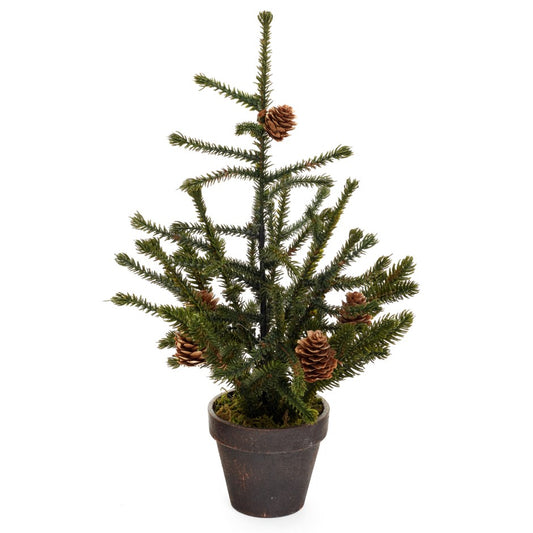 Potted Angel Pine Tree