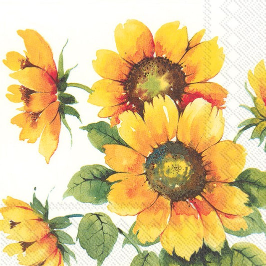 Luncheon Napkin - Colourful Sunflower