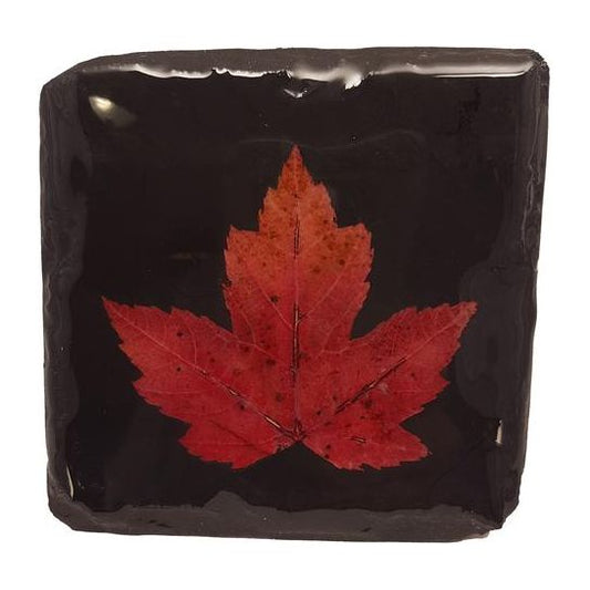 Black Slate Maple Leaf Coaster