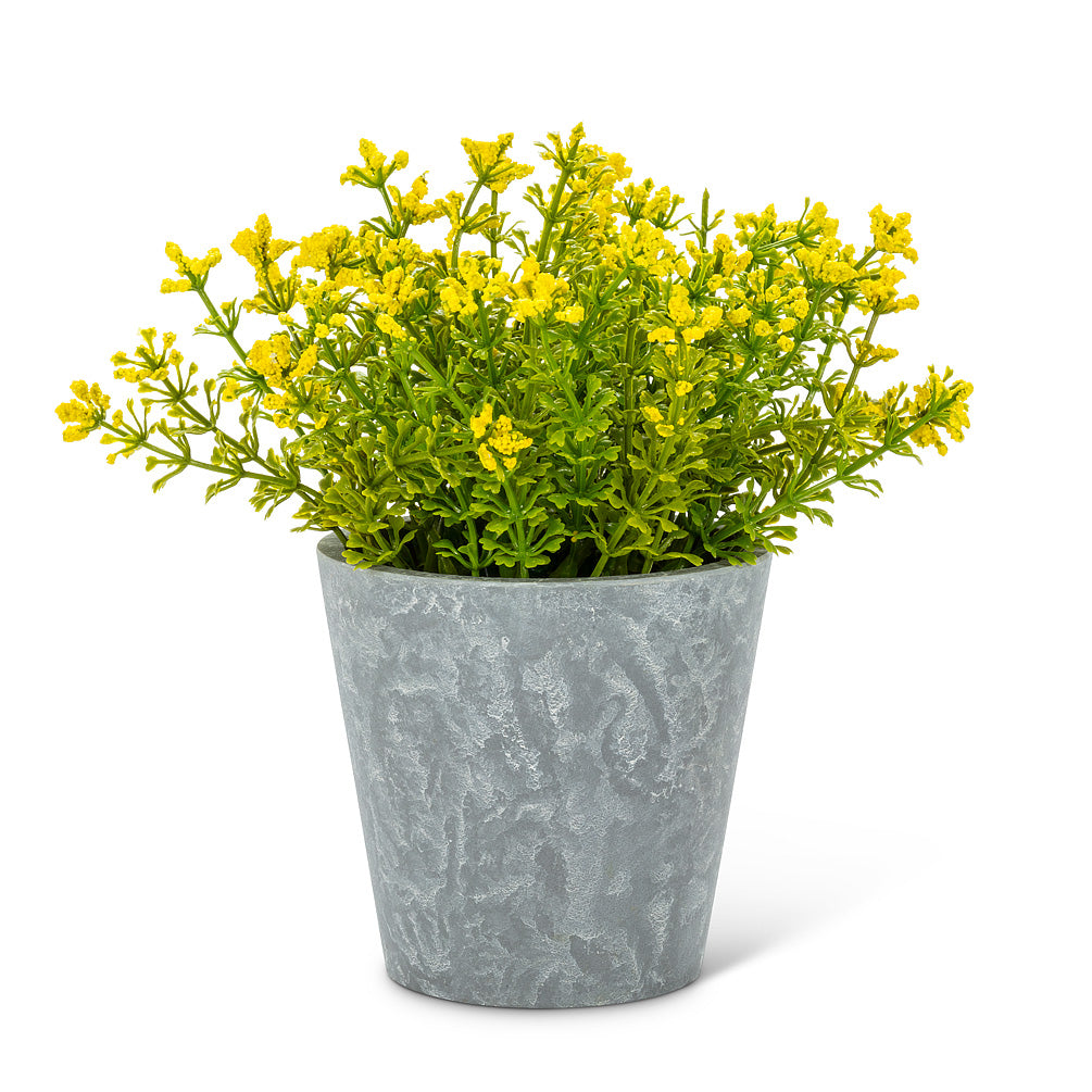 Yellow Flowering Plant