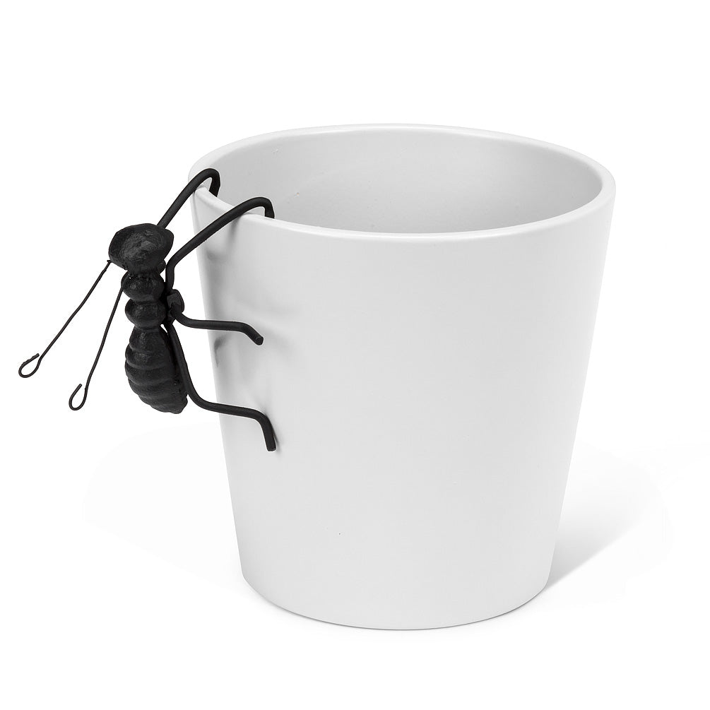 Small Hanging Ant